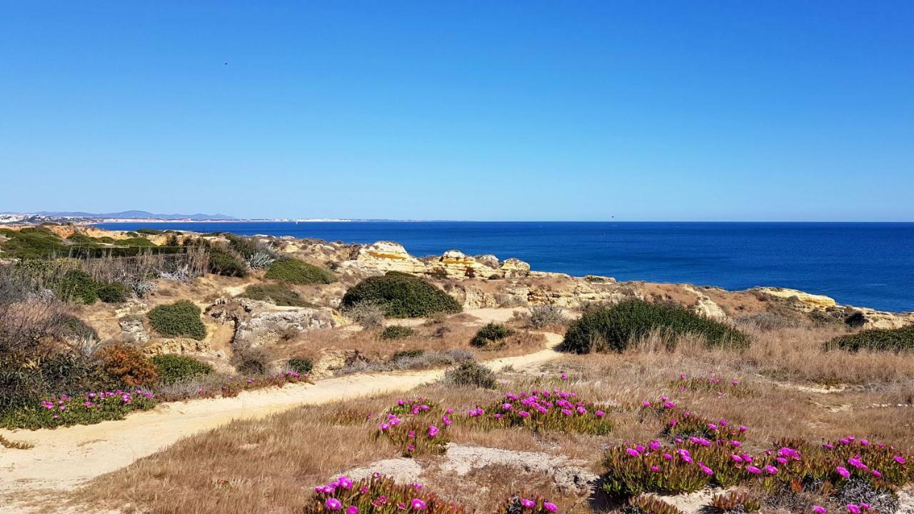 Magnific Studio With A Cozy Garden, 5 Minutes To The Beach Albufeira Exterior photo