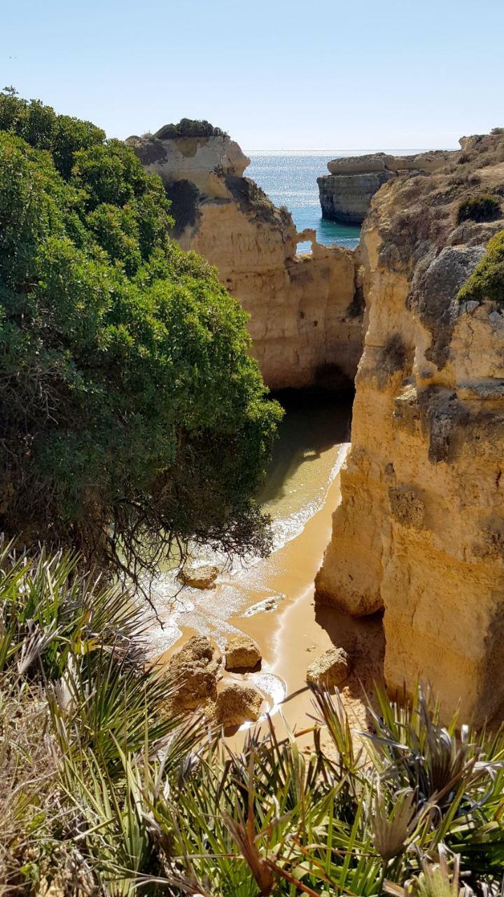Magnific Studio With A Cozy Garden, 5 Minutes To The Beach Albufeira Exterior photo